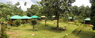 Bunaken SeaGarden cottages