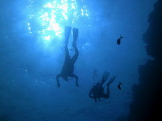Relaxed diving 