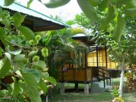 BunakenSeagardenResort08