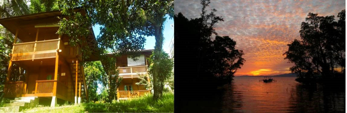 Comfortable cottages in a tropical garden