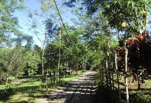Paden op Bunaken
